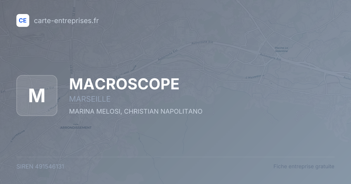 MACROSCOPE — 491546131 — fiche entreprise