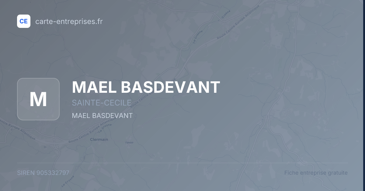 MAEL BASDEVANT — 905332797 — fiche entreprise