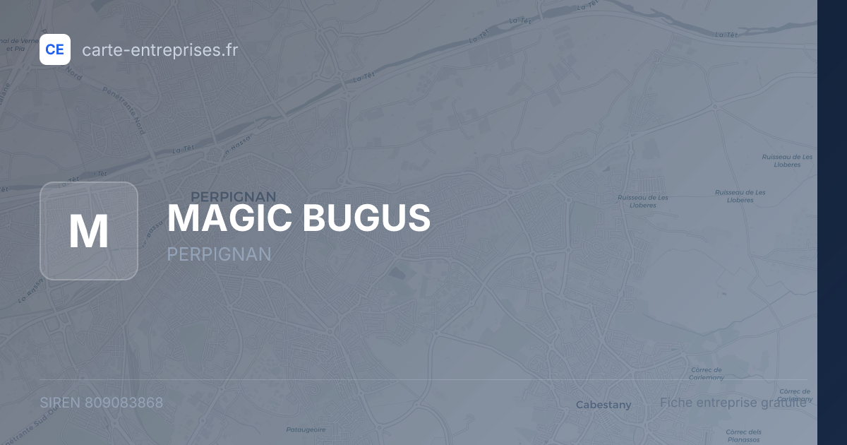 MAGIC BUGUS — 809083868 — fiche entreprise