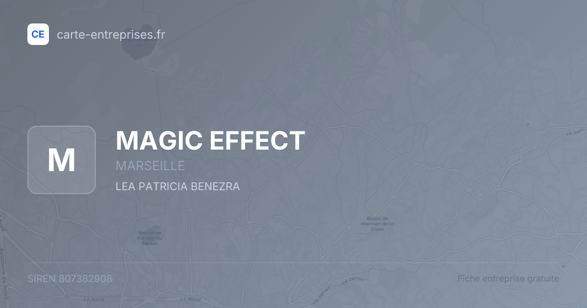 MAGIC EFFECT — 807382908 — fiche entreprise