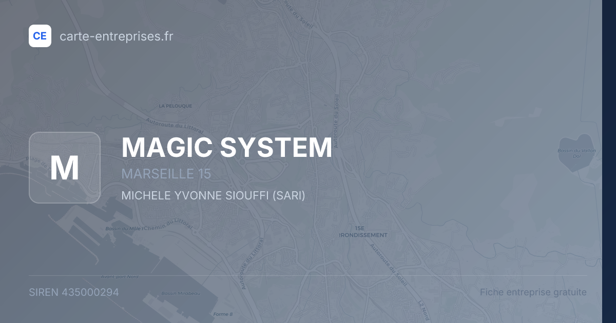 MAGIC SYSTEM — 435000294 — fiche entreprise