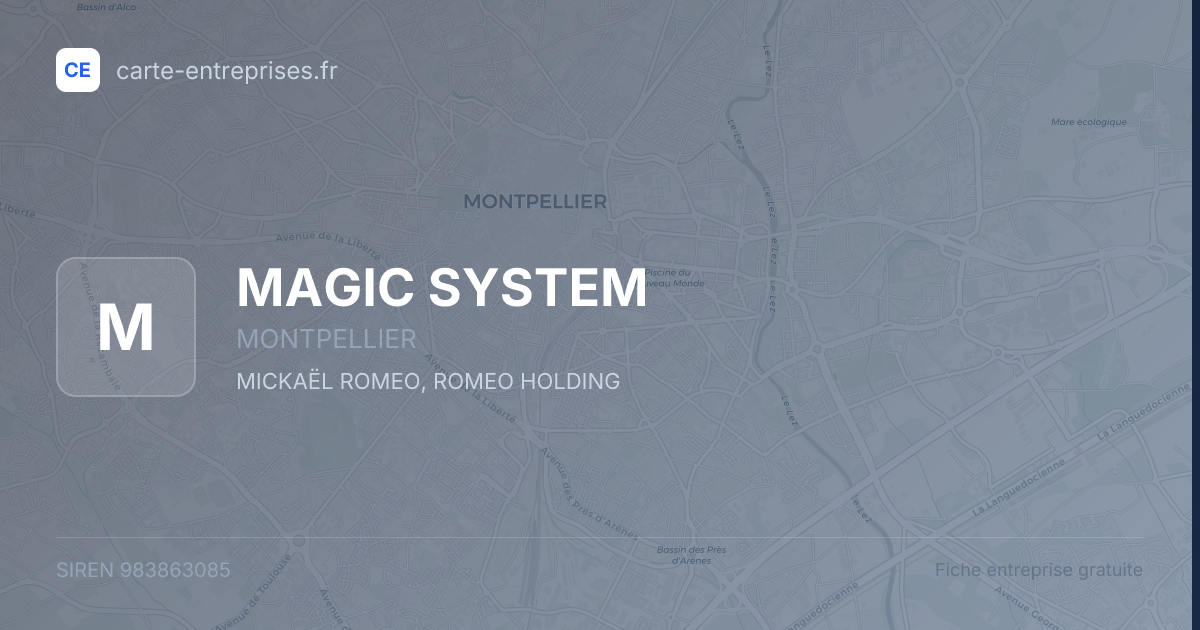 MAGIC SYSTEM — 983863085 — fiche entreprise