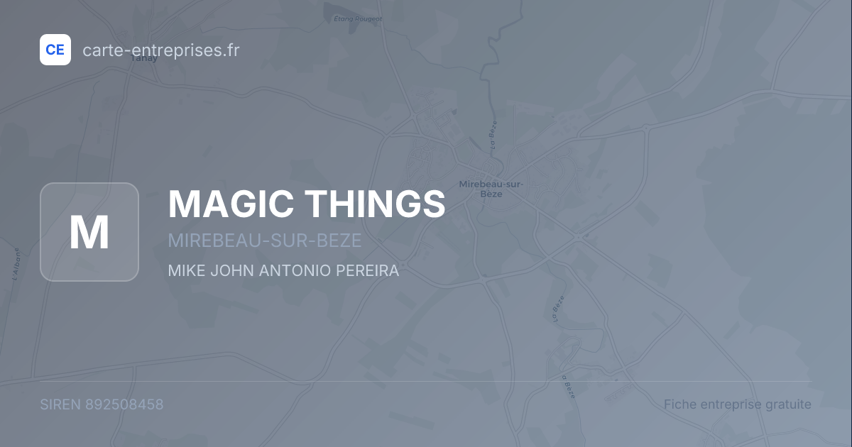 MAGIC THINGS — 892508458 — fiche entreprise