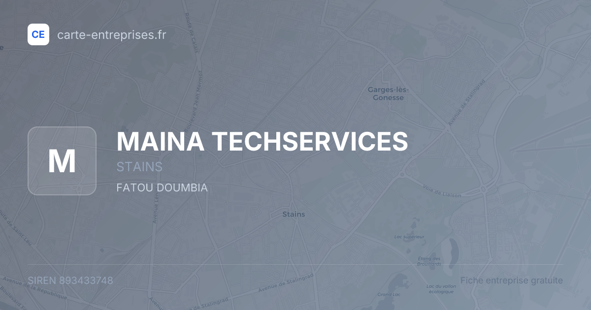 MAINA TECHSERVICES — 893433748 — fiche entreprise