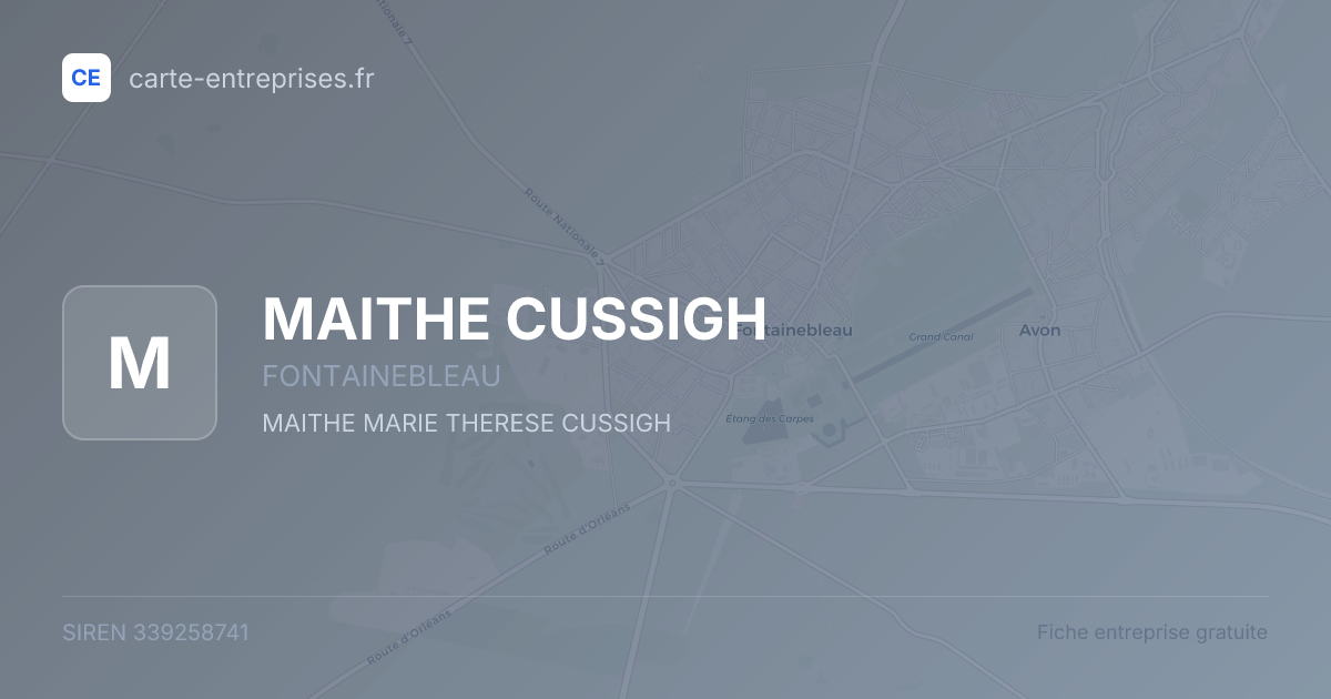 MAITHE CUSSIGH — 339258741 — fiche entreprise
