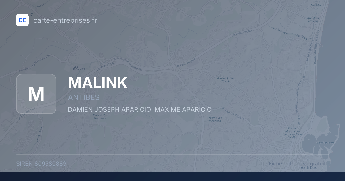 MALINK — 809580889 — fiche entreprise