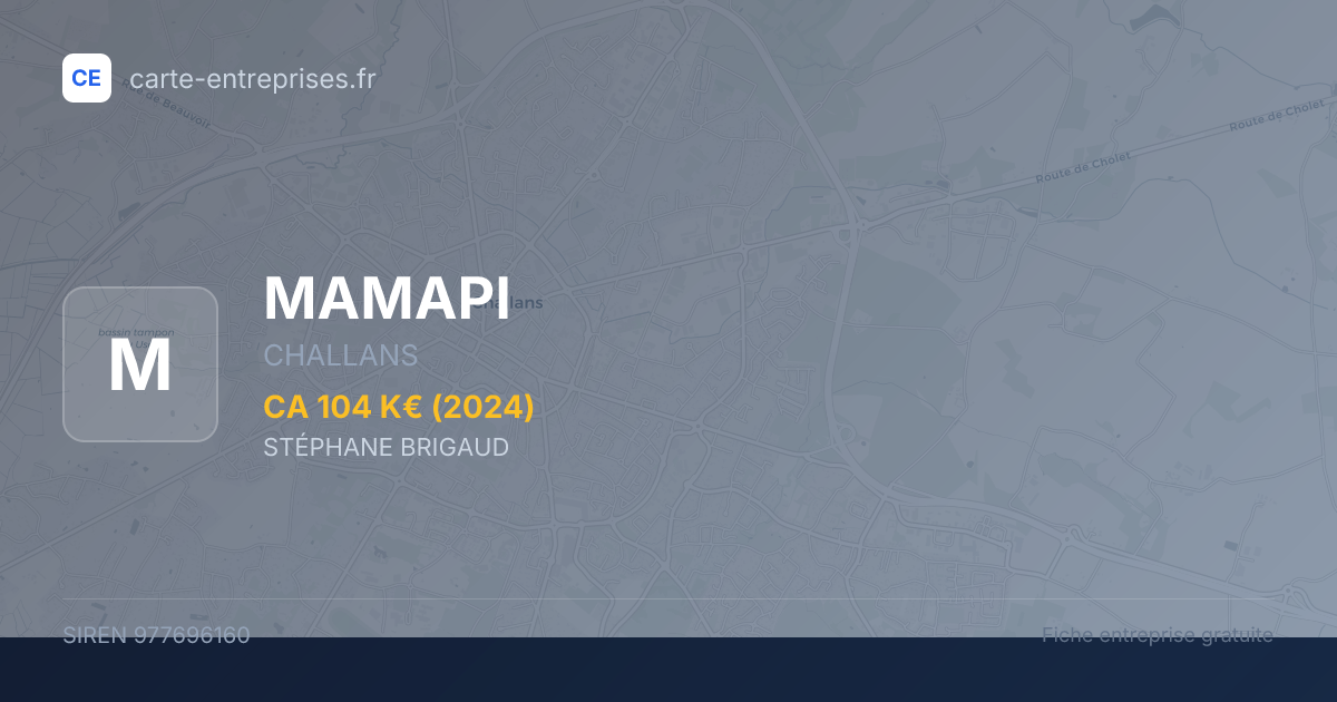 MAMAPI — 977696160 — fiche entreprise