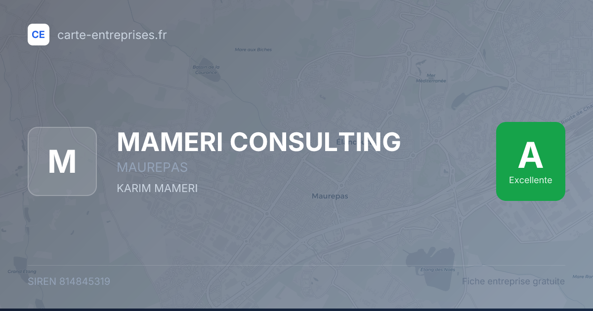 MAMERI CONSULTING — 814845319 — fiche entreprise
