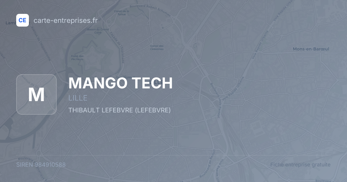 MANGO TECH — 984910588 — fiche entreprise