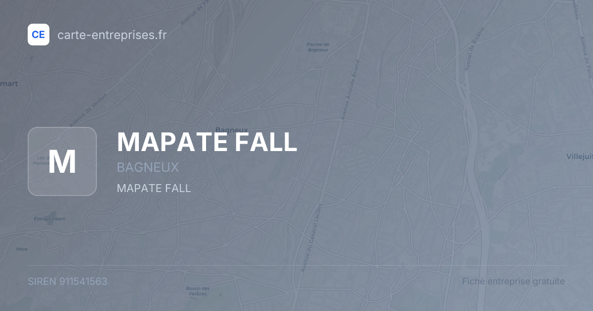 MAPATE FALL — 911541563 — fiche entreprise