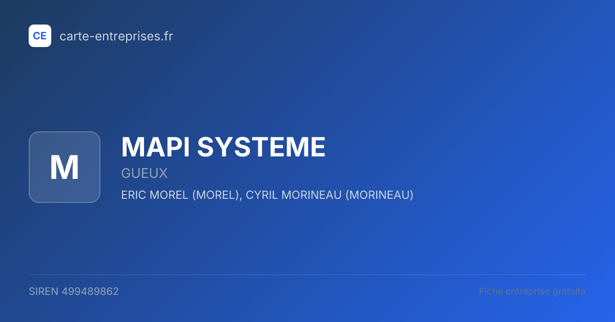 MAPI SYSTEME — 499489862 — fiche entreprise