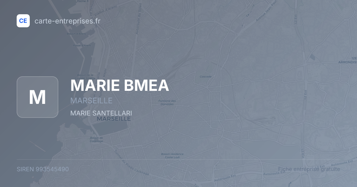 MARIE BMEA — 993545490 — fiche entreprise