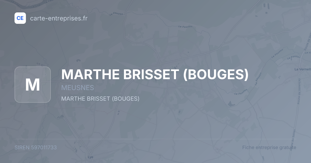 MARTHE BRISSET (BOUGES) — 597011733 — fiche entreprise