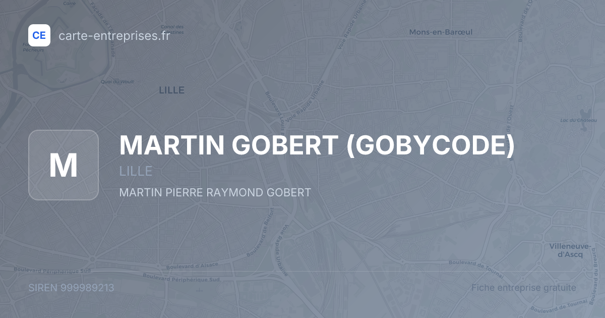 MARTIN GOBERT (GOBYCODE) — 999989213 — fiche entreprise