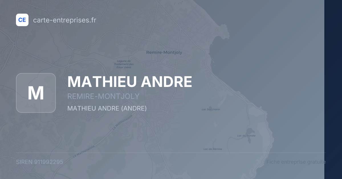 MATHIEU ANDRE — 911992295 — fiche entreprise
