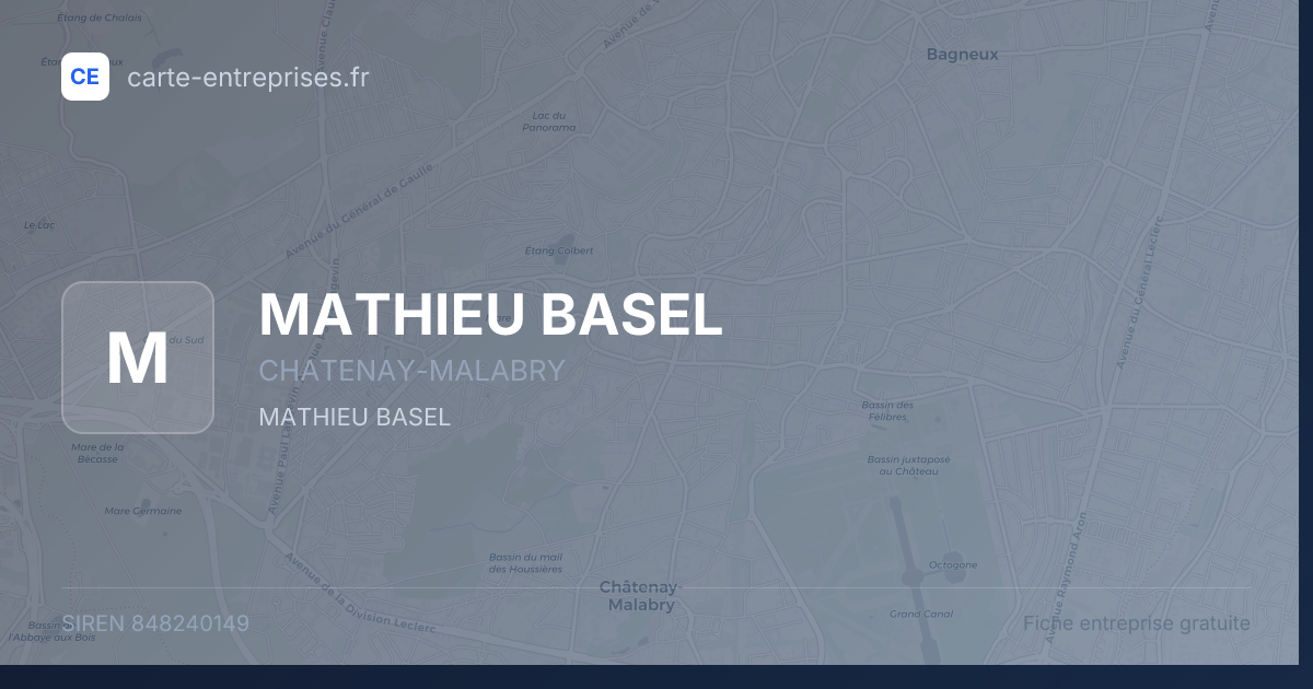 MATHIEU BASEL — 848240149 — fiche entreprise