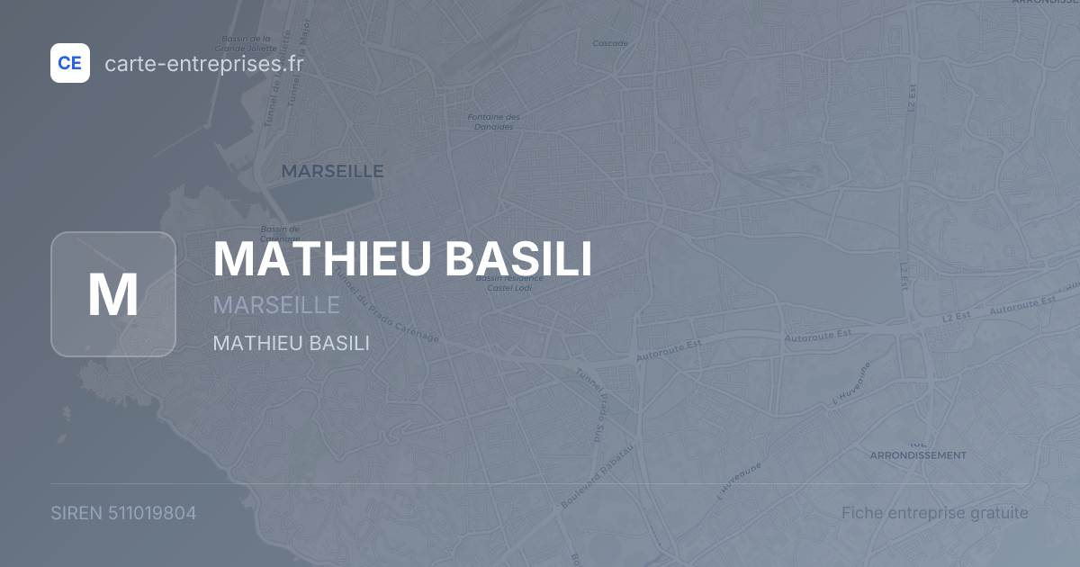 MATHIEU BASILI — 511019804 — fiche entreprise