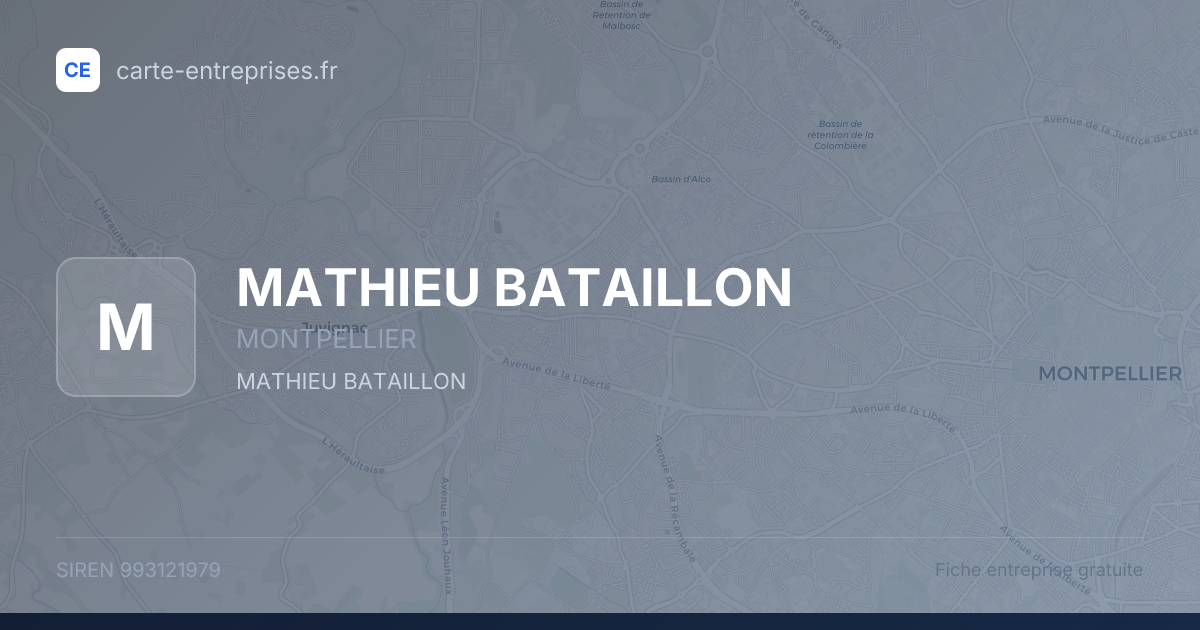 MATHIEU BATAILLON — 993121979 — fiche entreprise