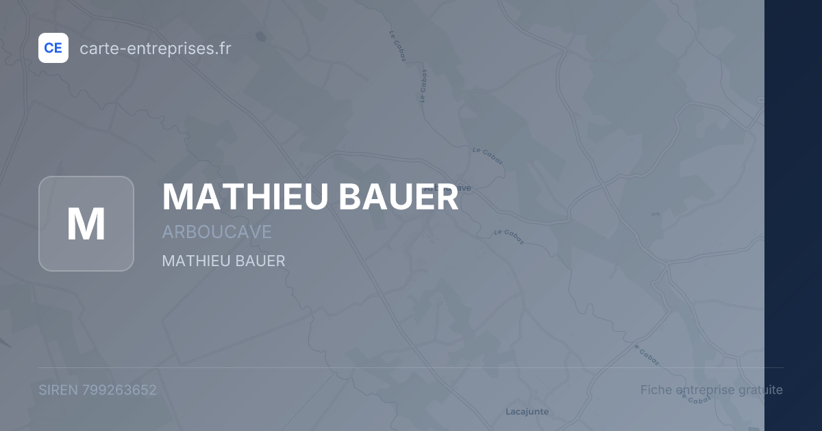 MATHIEU BAUER — 799263652 — fiche entreprise
