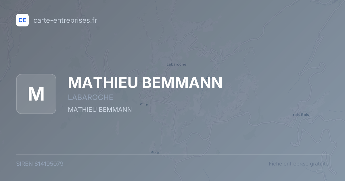 MATHIEU BEMMANN — 814195079 — fiche entreprise