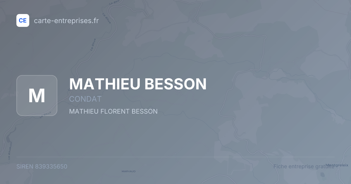 MATHIEU BESSON — 839335650 — fiche entreprise