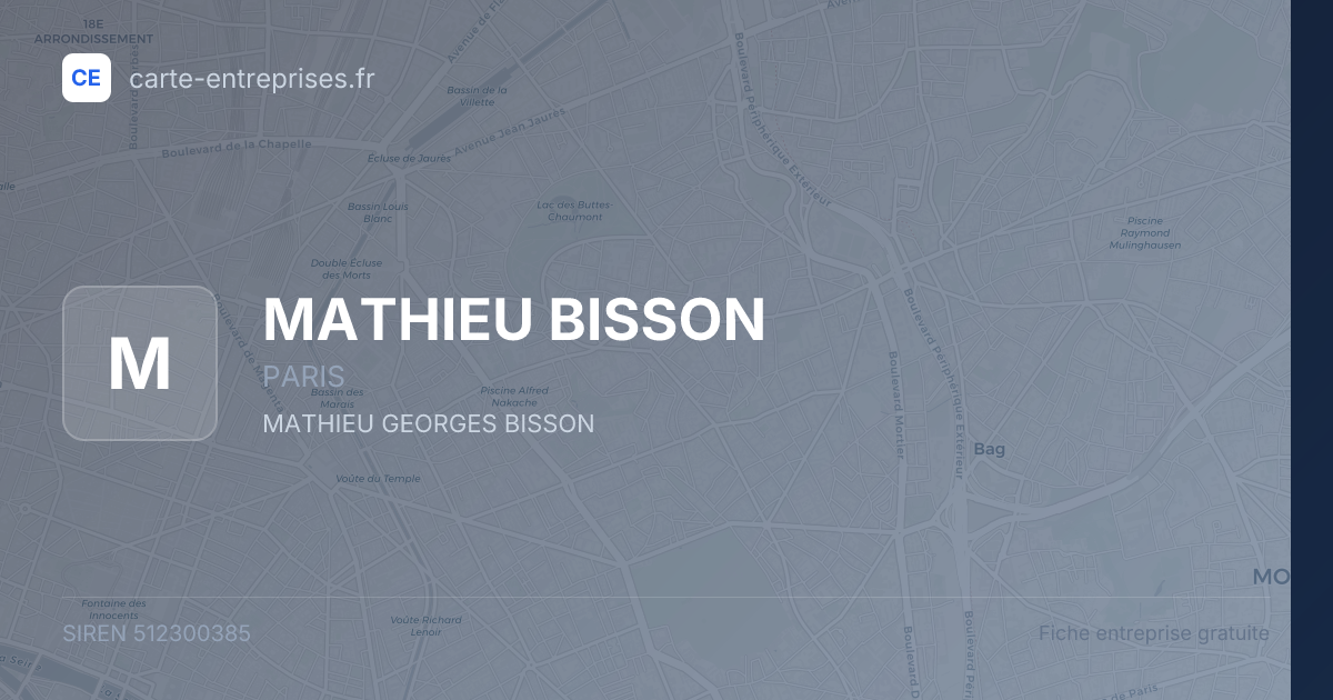 MATHIEU BISSON — 512300385 — fiche entreprise