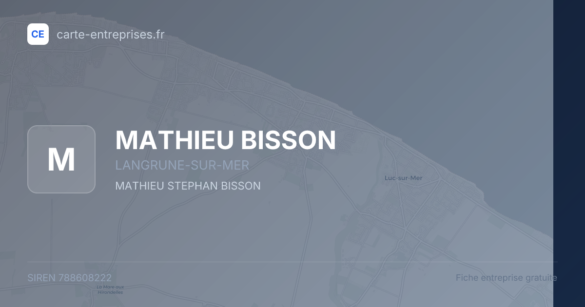 MATHIEU BISSON — 788608222 — fiche entreprise