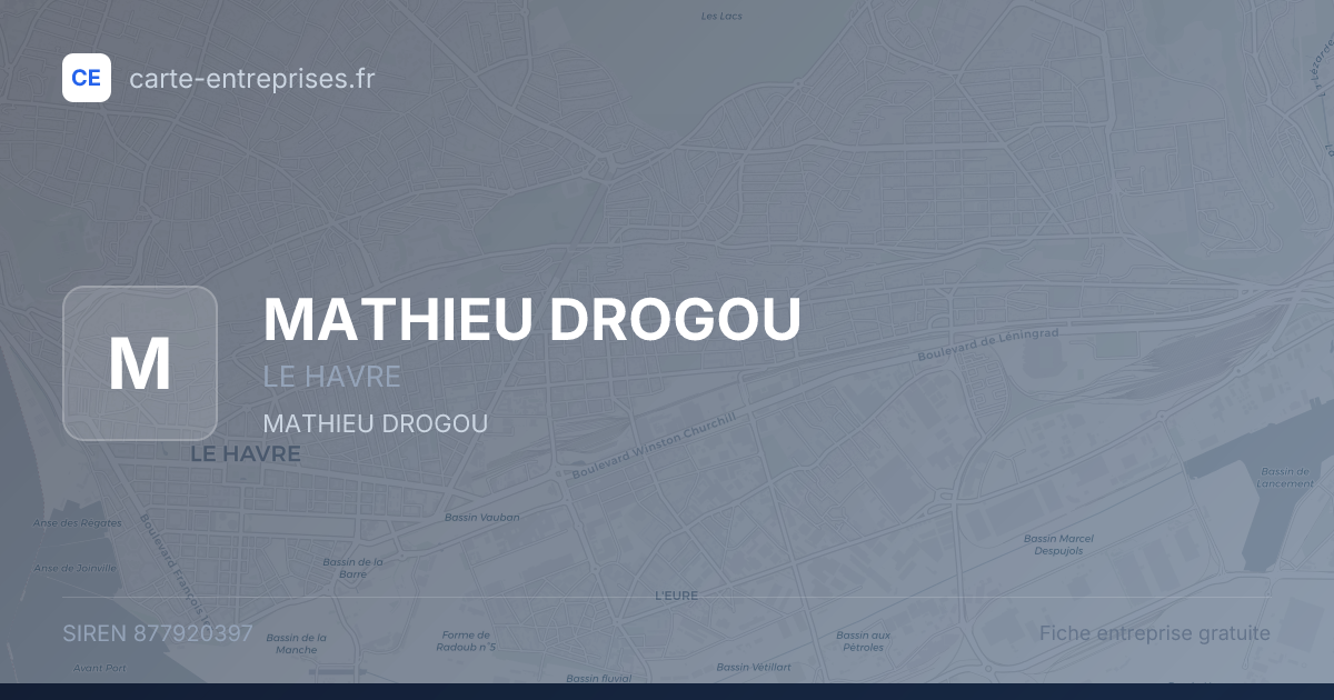 MATHIEU DROGOU — 877920397 — fiche entreprise