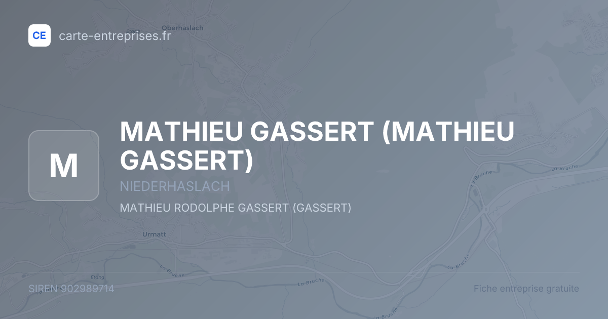 MATHIEU GASSERT — 902989714 — fiche entreprise