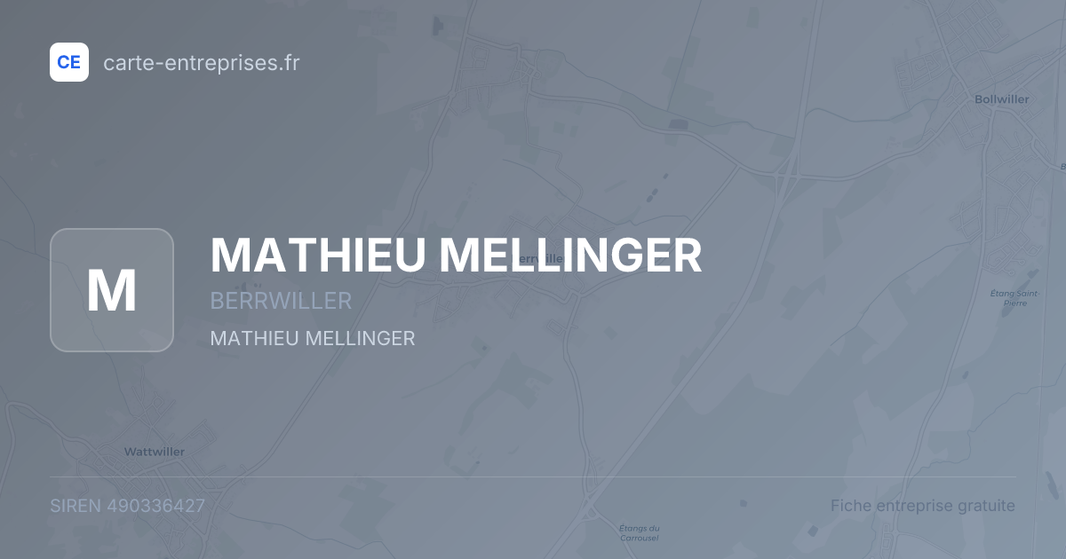 MATHIEU MELLINGER — 490336427 — fiche entreprise