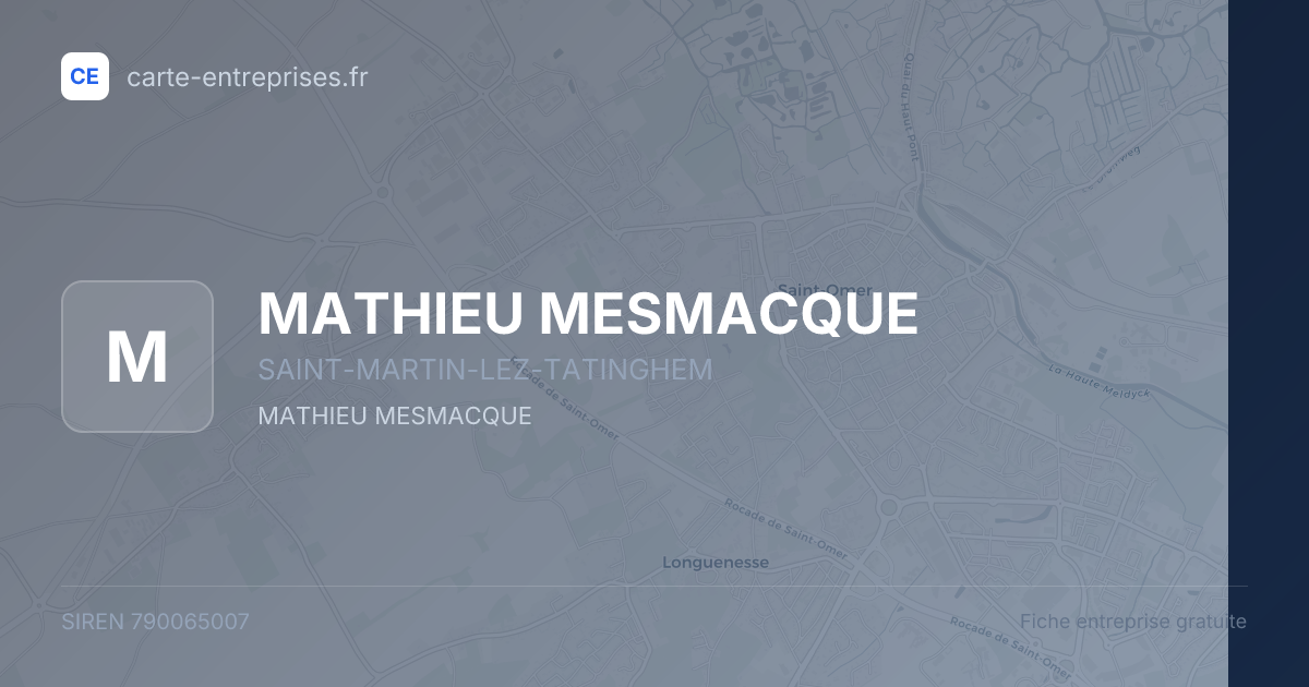MATHIEU MESMACQUE — 790065007 — fiche entreprise