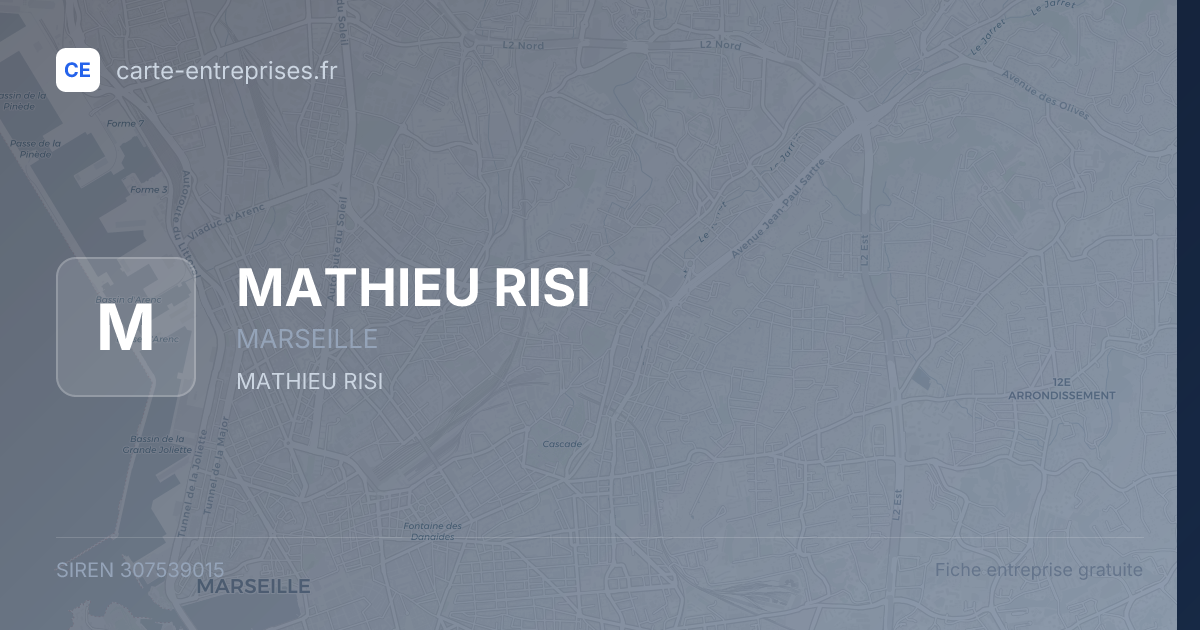 MATHIEU RISI — 307539015 — fiche entreprise