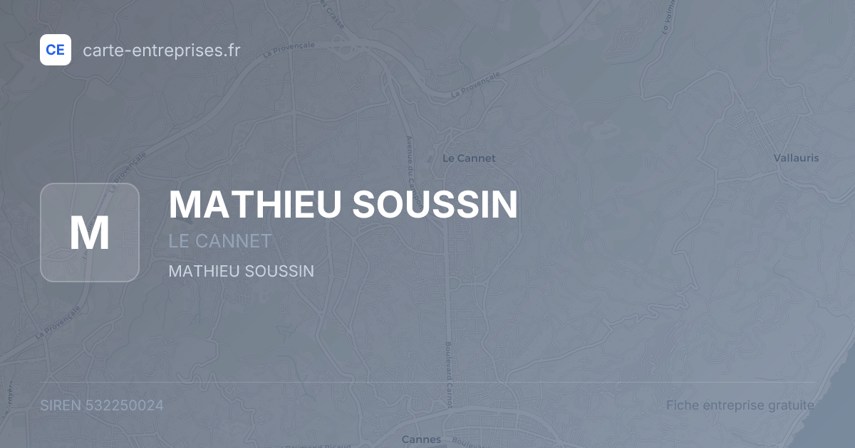 MATHIEU SOUSSIN — 532250024 — fiche entreprise
