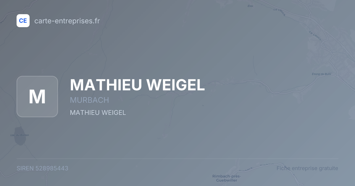 MATHIEU WEIGEL — 528985443 — fiche entreprise
