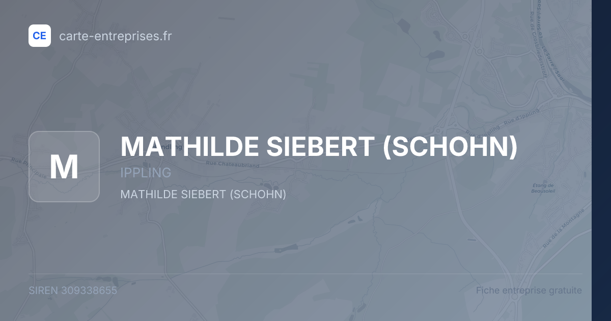 MATHILDE SIEBERT (SCHOHN) — 309338655 — fiche entreprise