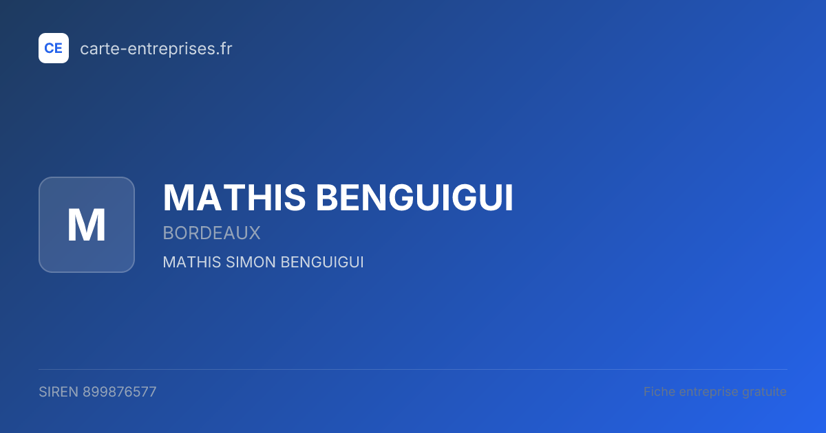 MATHIS BENGUIGUI — 899876577 — fiche entreprise
