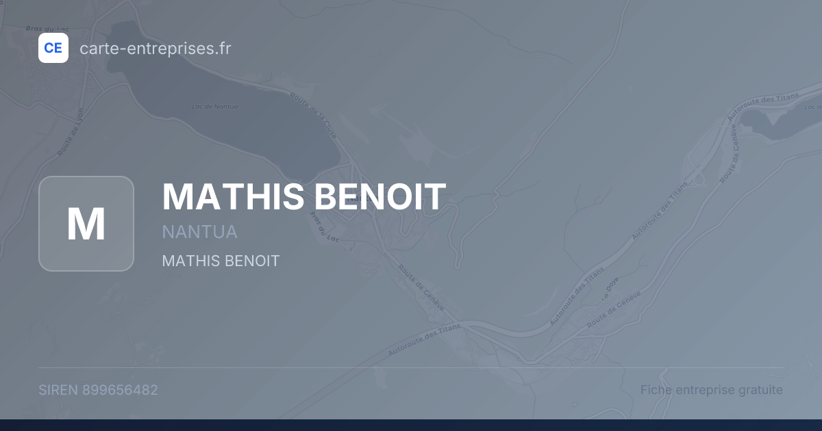 MATHIS BENOIT — 899656482 — fiche entreprise