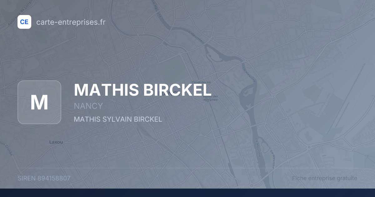 MATHIS BIRCKEL — 894158807 — fiche entreprise