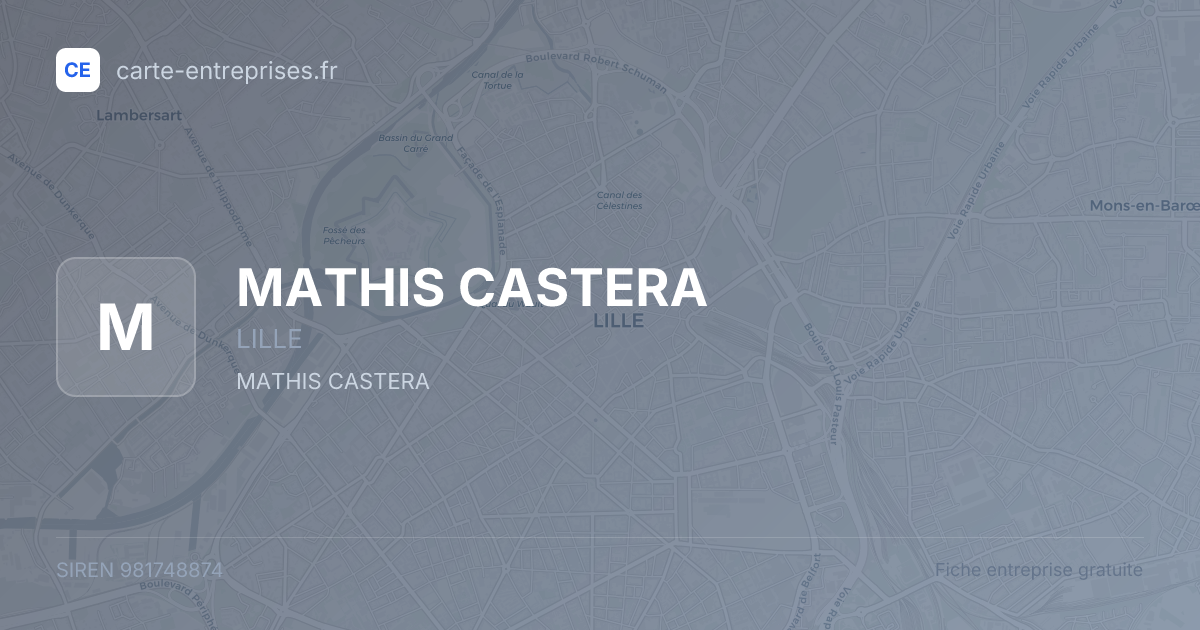 MATHIS CASTERA — 981748874 — fiche entreprise