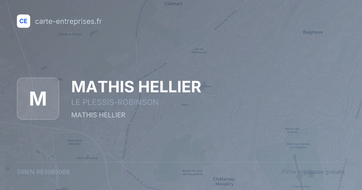 MATHIS HELLIER — 983095068 — fiche entreprise