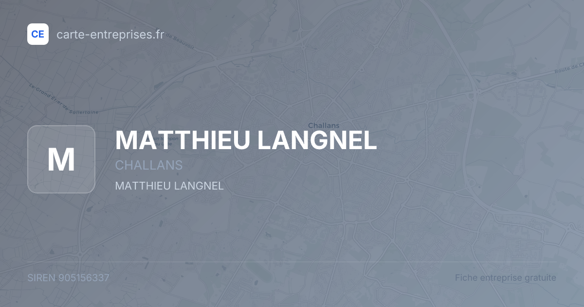 MATTHIEU LANGNEL — 905156337 — fiche entreprise