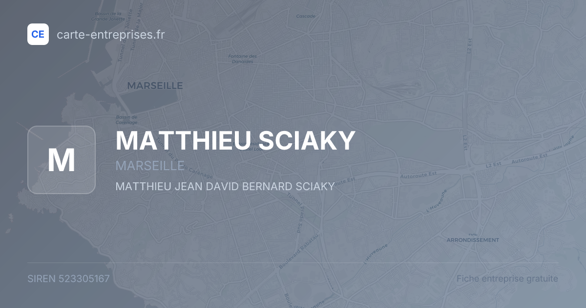 MATTHIEU SCIAKY — 523305167 — fiche entreprise