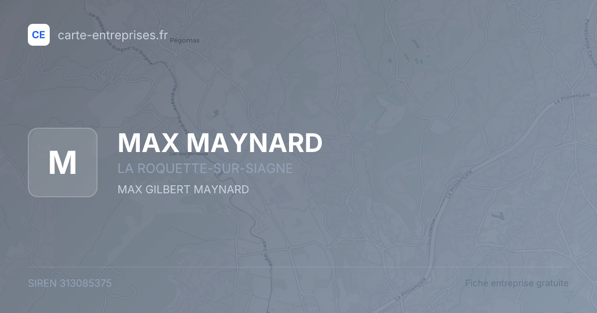 MAX MAYNARD — 313085375 — fiche entreprise