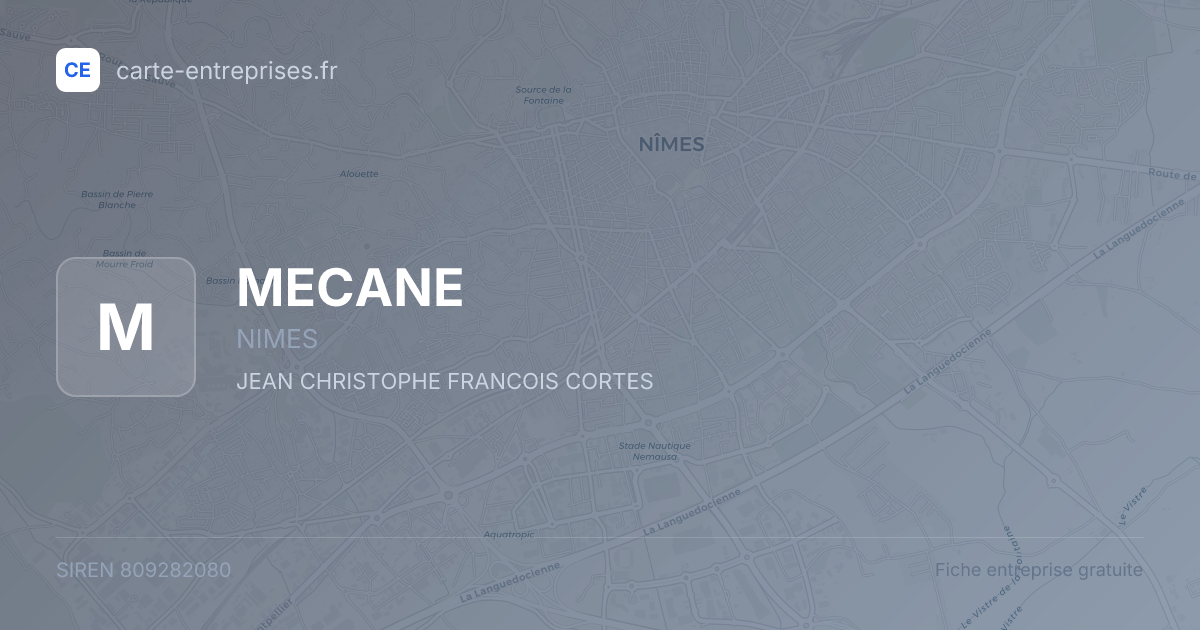 MECANE — 809282080 — fiche entreprise