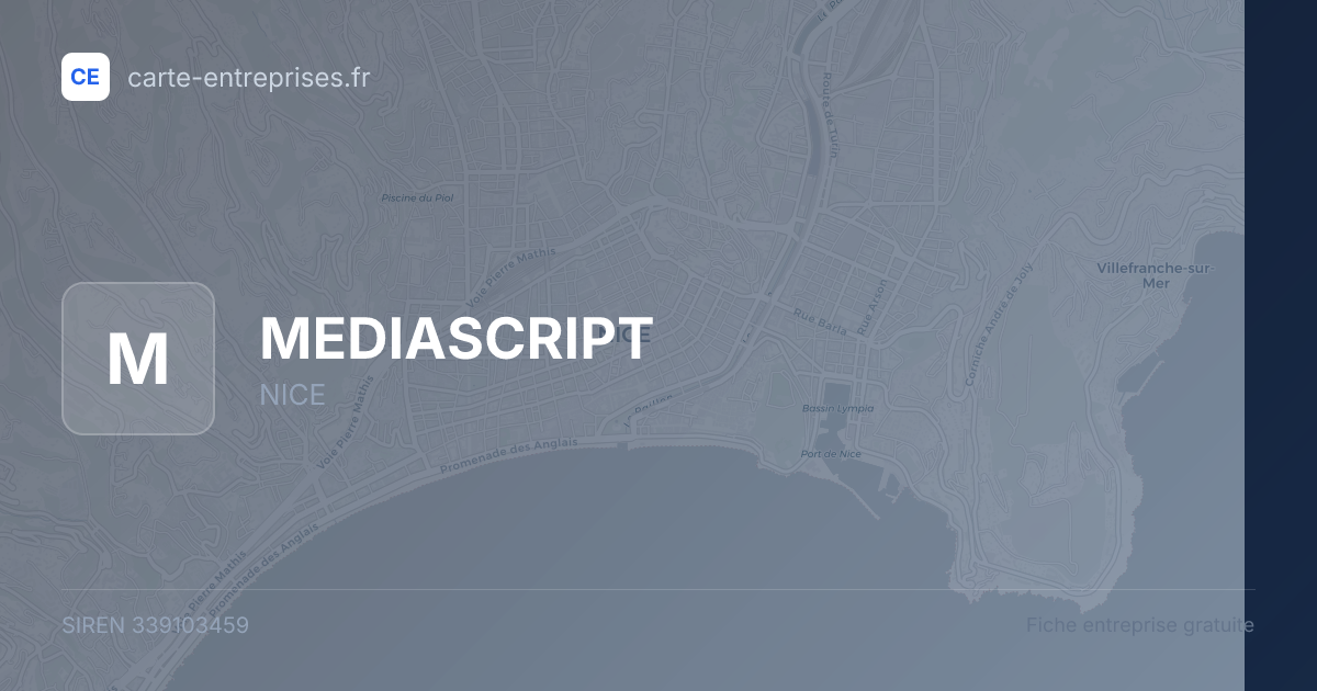 MEDIASCRIPT — 339103459 — fiche entreprise