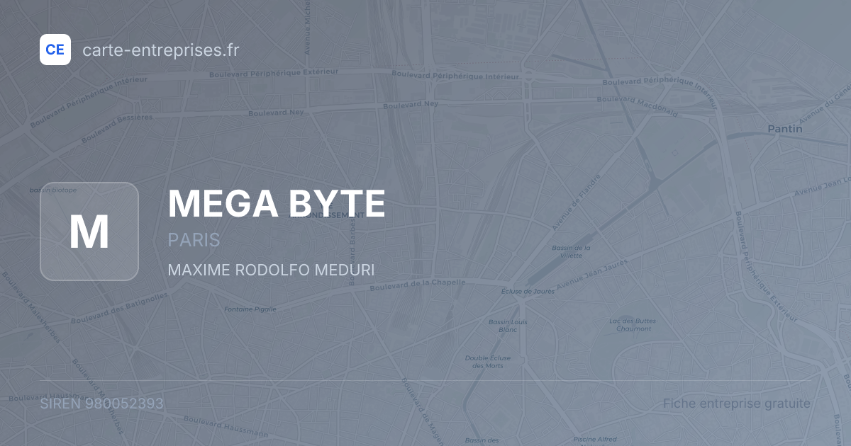 MEGA BYTE — 980052393 — fiche entreprise