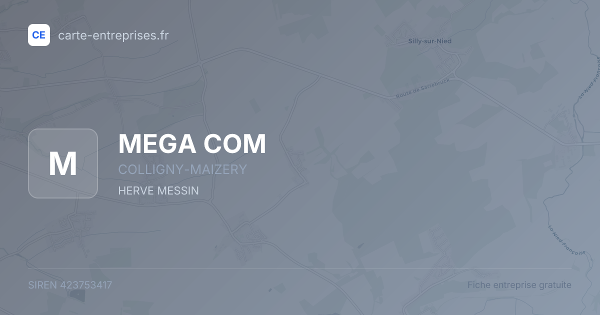 MEGA COM — 423753417 — fiche entreprise