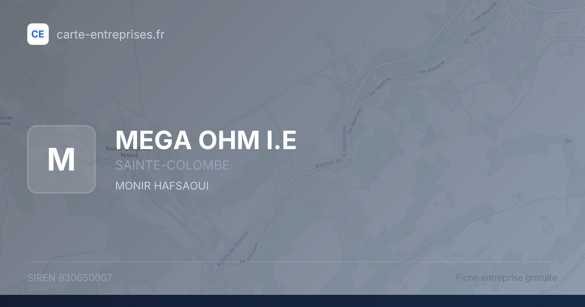 MEGA OHM I.E — 930650007 — fiche entreprise