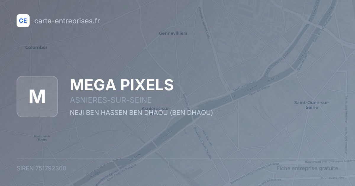 MEGA PIXELS — 751792300 — fiche entreprise