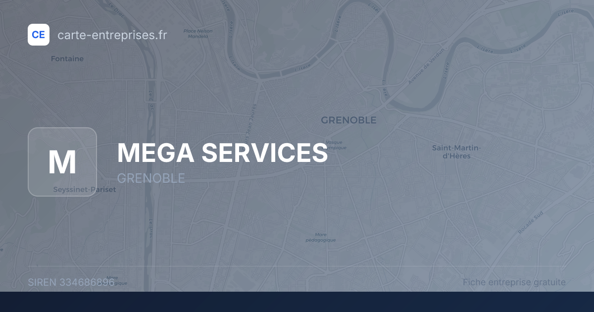 MEGA SERVICES — 334686896 — fiche entreprise